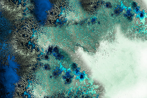 Ocean Art | Petra Meikle de Vlas | Art & Pictures Gallery