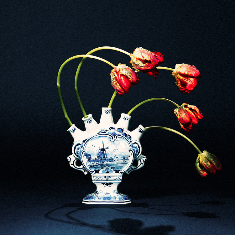Dutch Look Fotografie | Saskia Kerkhoff | Art & Pictures Gallery