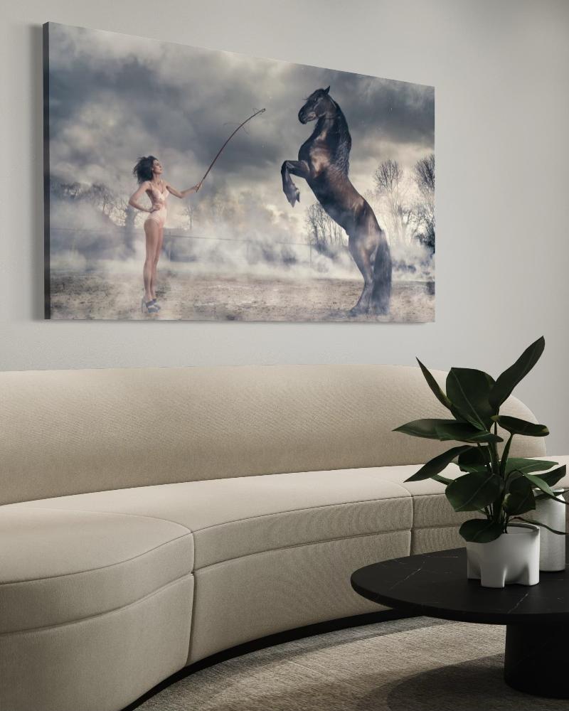 Sexy Horse | Nicolas Bets | Fancy & Fun Photos | Art & Pictures Gallery