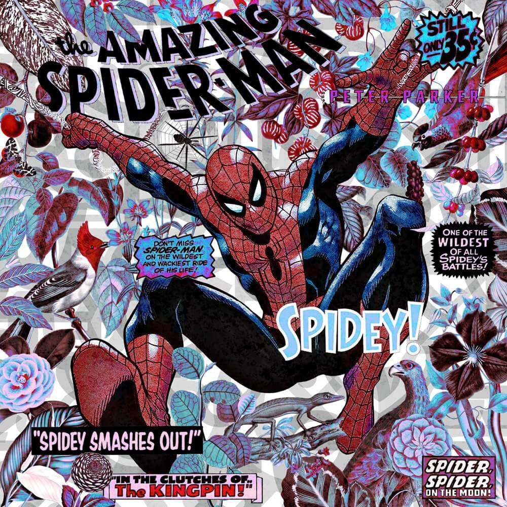 Spiderman | Sam Lovemore Art | Urban Popart | Art & Pictures Gallery