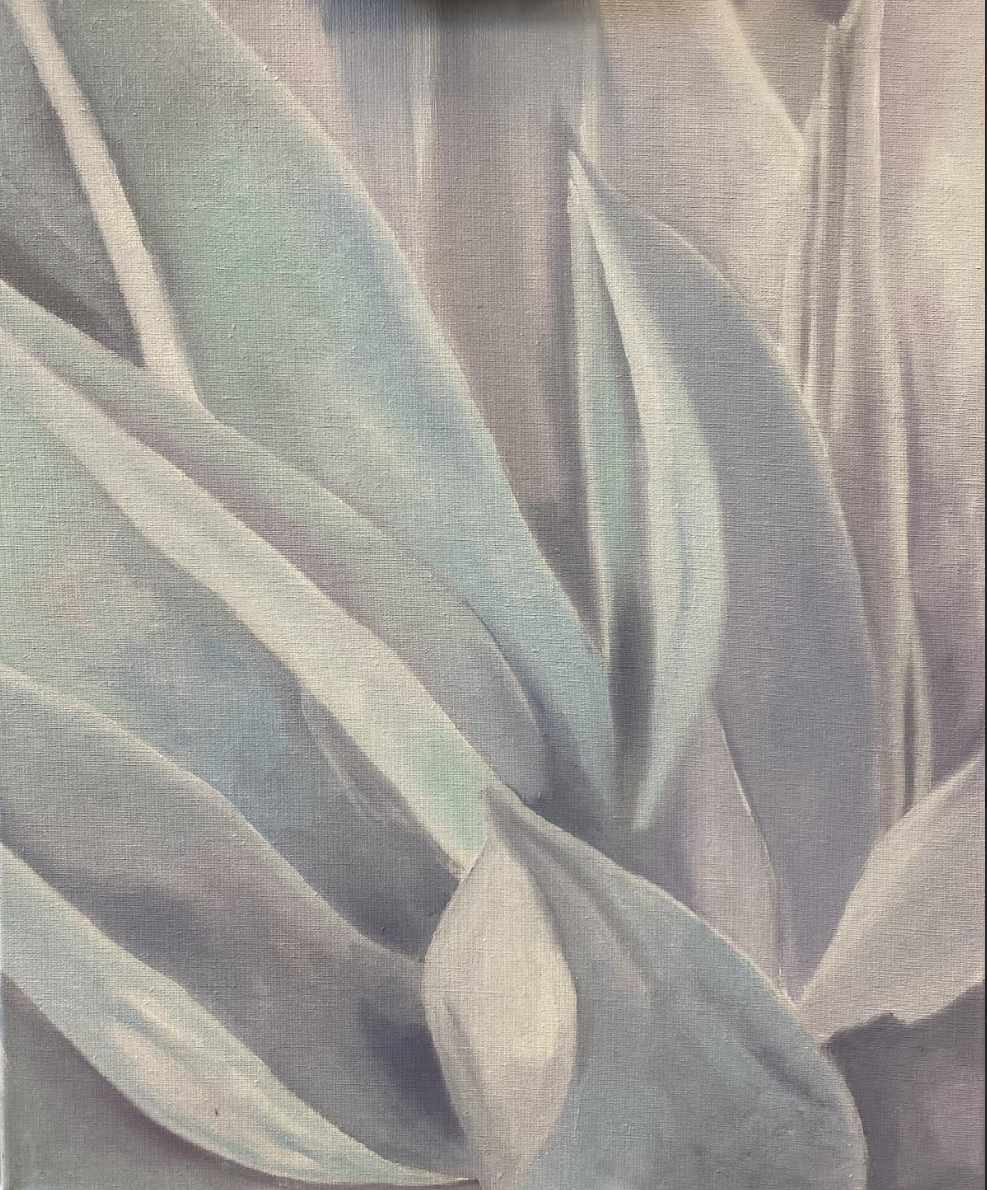 Agave #1 | Jacqueline Wouters | Art & Pictures Gallery