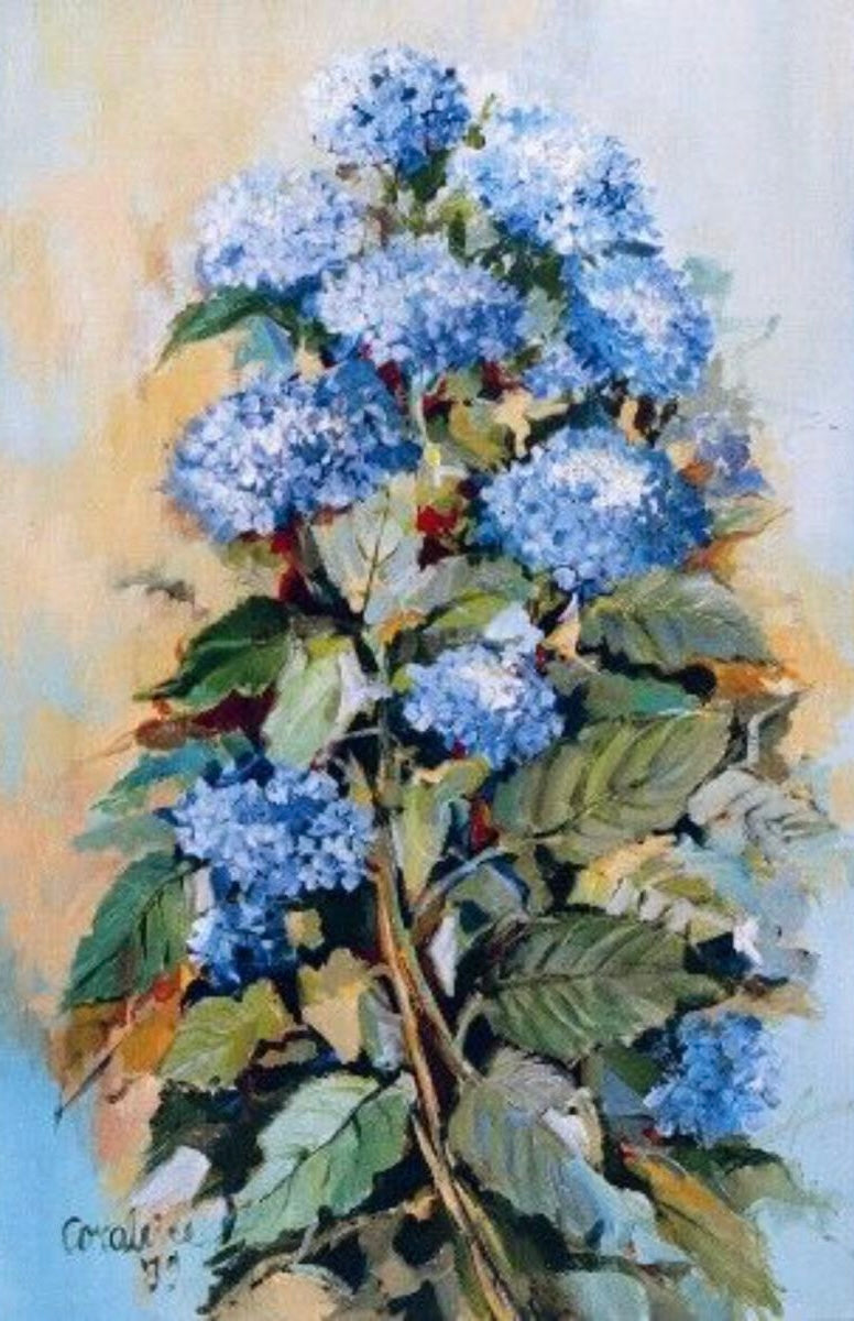 Blauwe Hortensia | Coraline Bäcker
