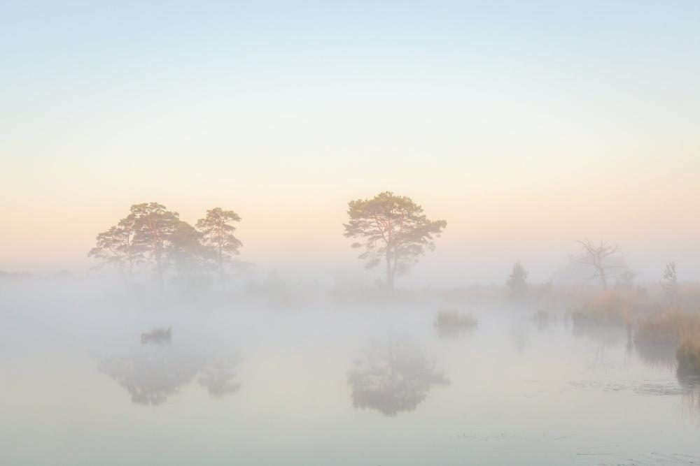 Misty morning | Andy Luberti | Nature | Art & Pictures Gallery