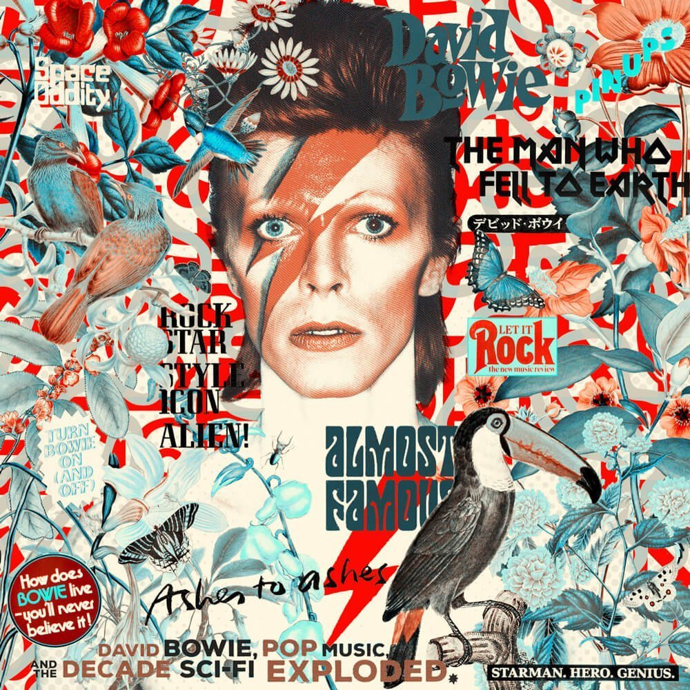 David Bowie | Sam Lovemore Art | Urban Popart | Art & Pictures Gallery