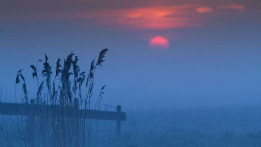 Magical blue twilight