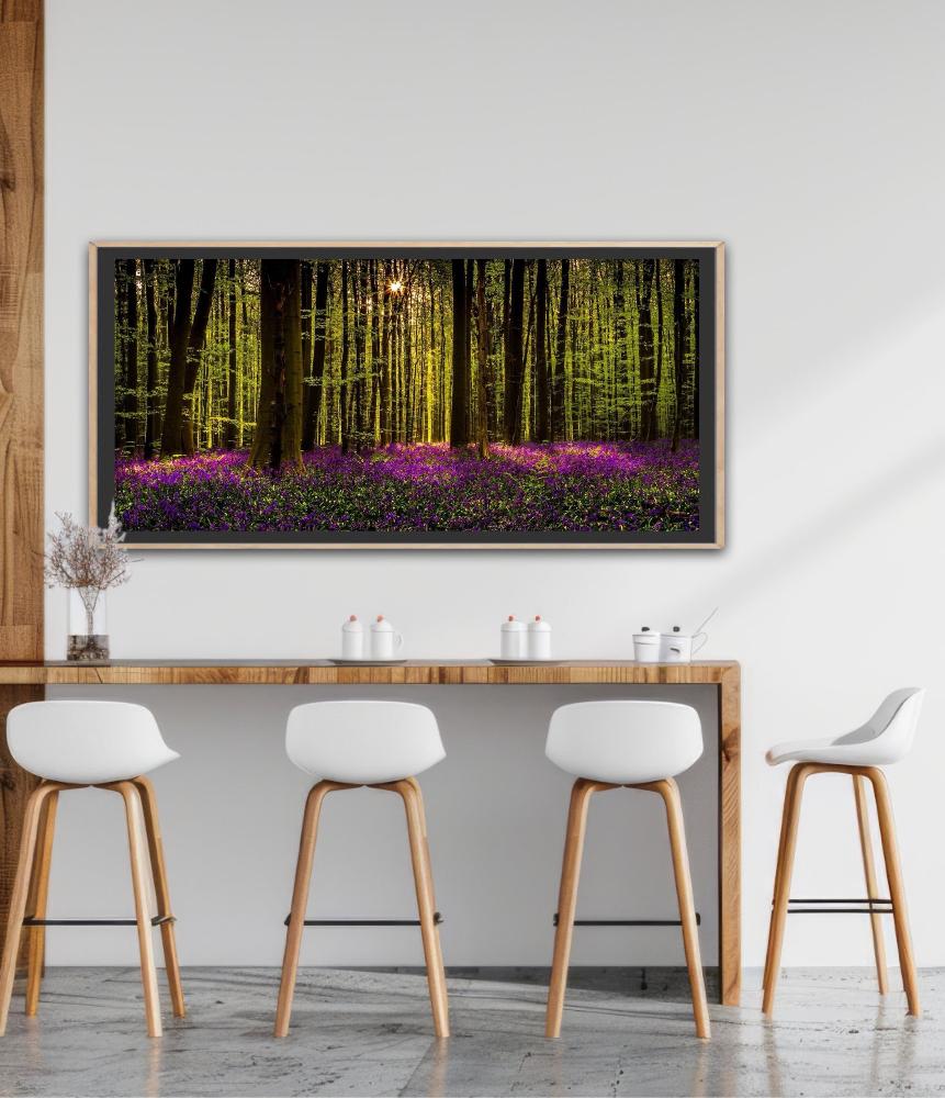 Blooming Forest | Andy Luberti | Nature | Art & Pictures Gallery