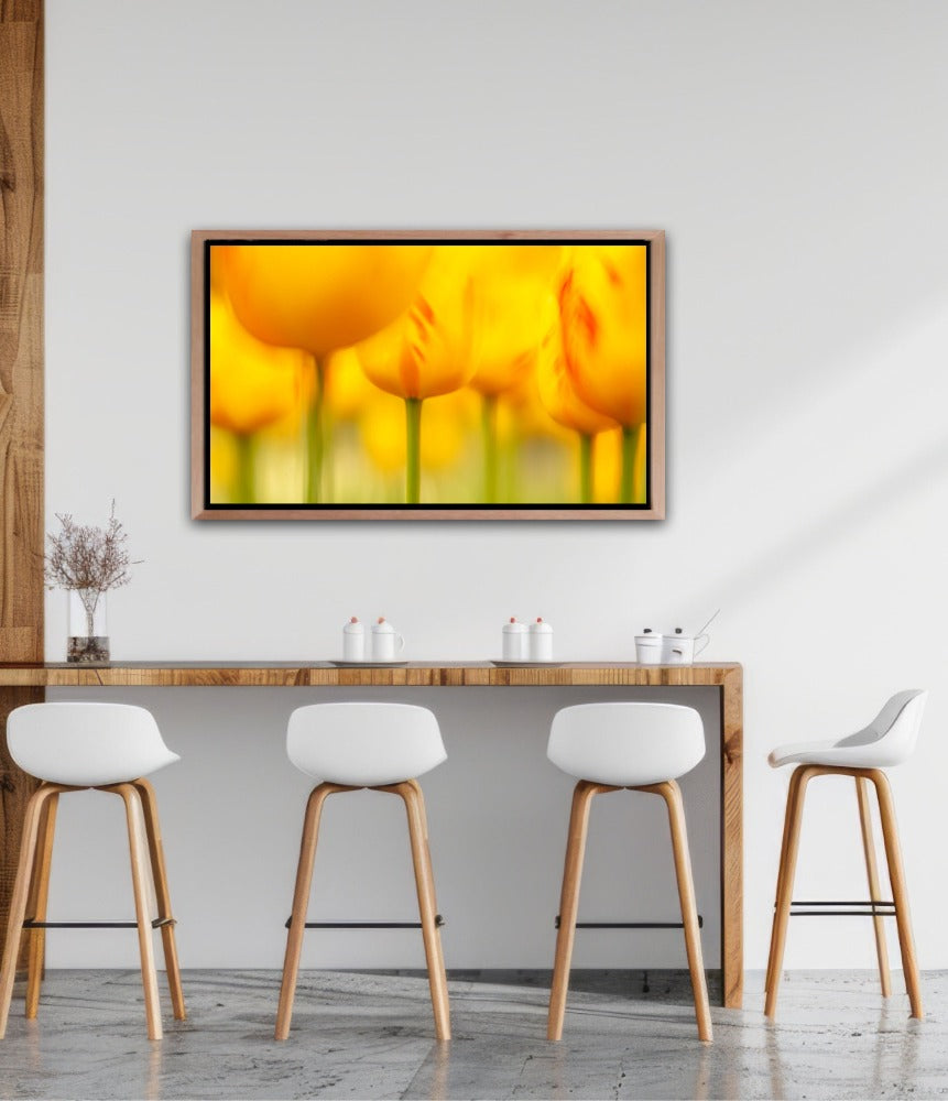 Yellow Tulips | Andy Luberti | Wall Flowers | Art & Pictures Gallery