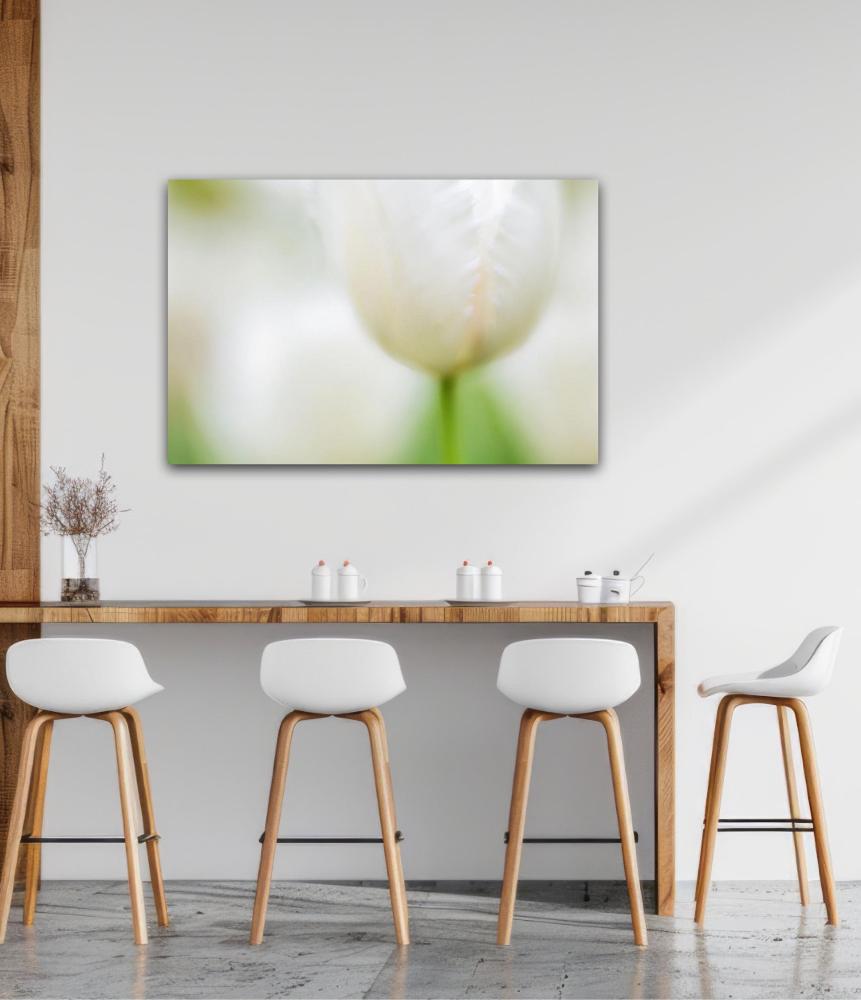 Mysterious White | Andy Luberti | Wall Flowers | Art & Pictures Gallery