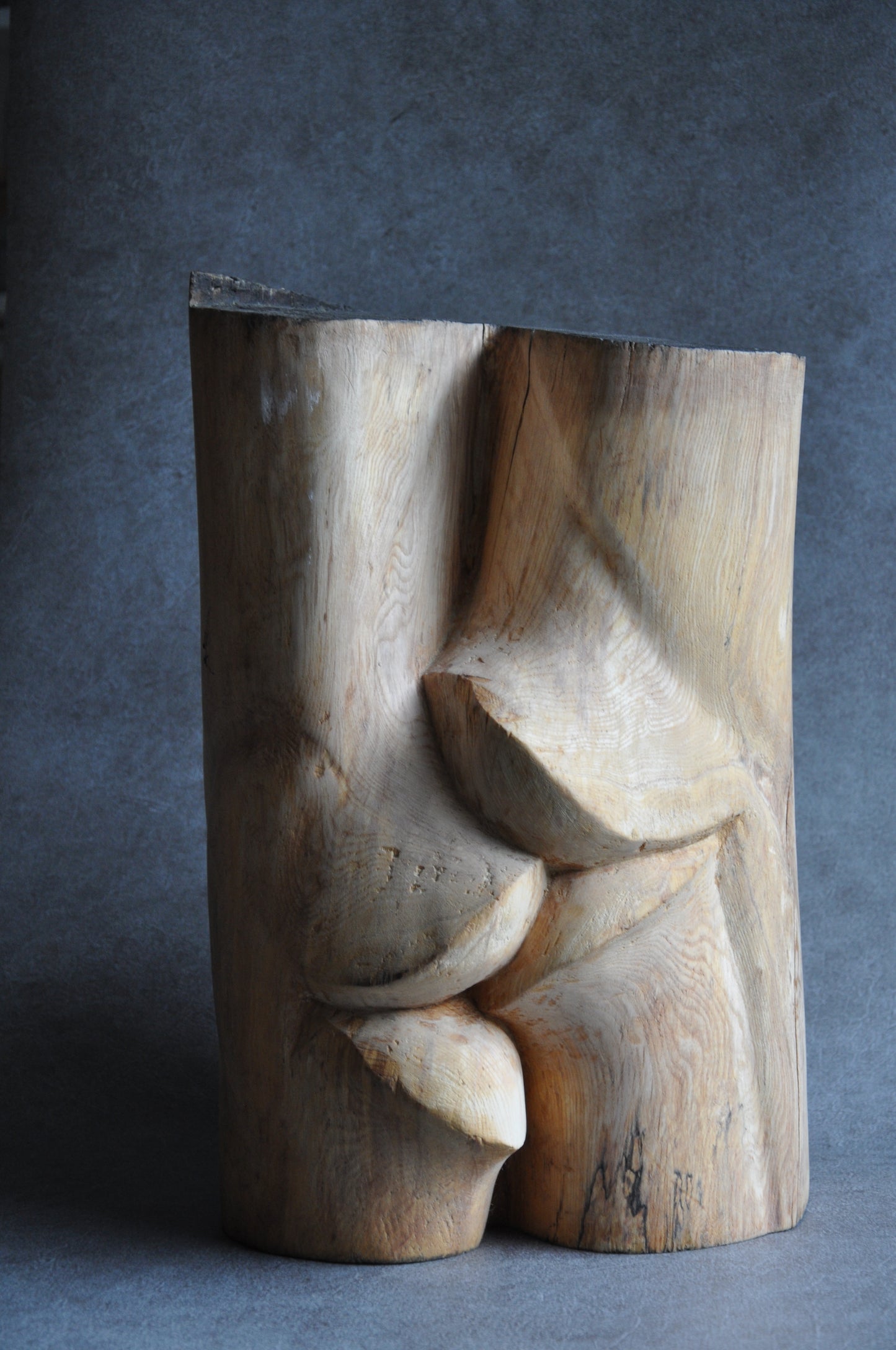 Januszoen | Jan-Willem van Oldeneel