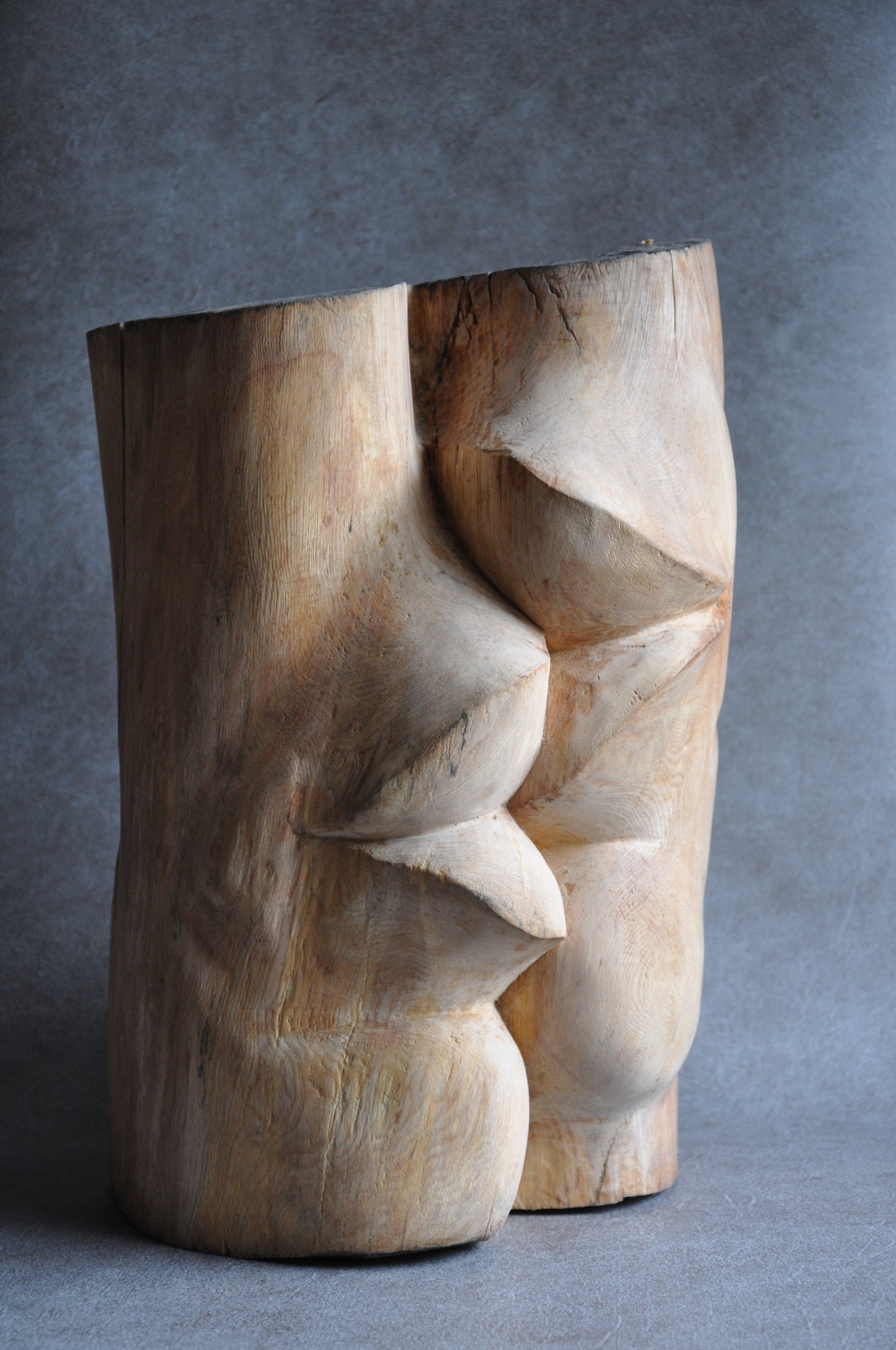 Januszoen | Jan-Willem van Oldeneel