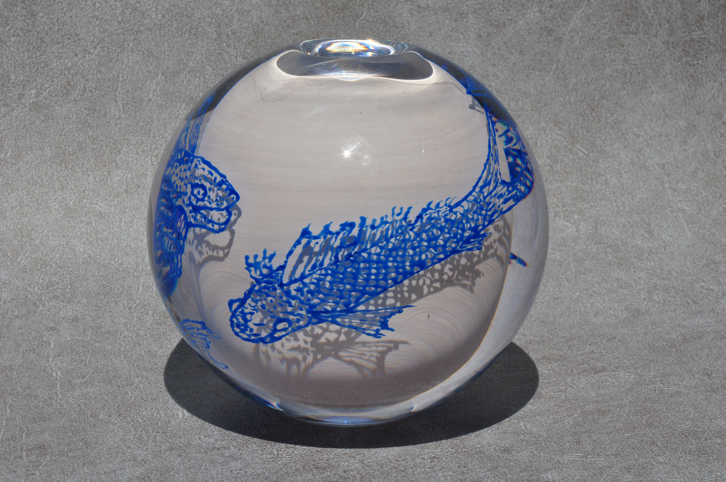 Fischglas | Jan-Willem van Oldeneel