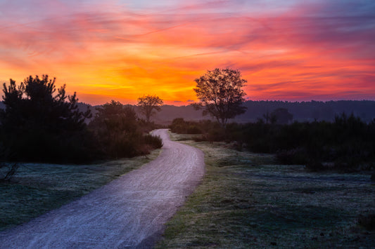 Sunrise on the Westerheide | Arie van den Hout