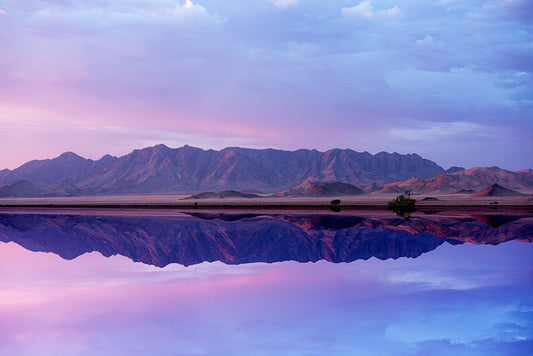 Desert #5 | Carolien Beekman