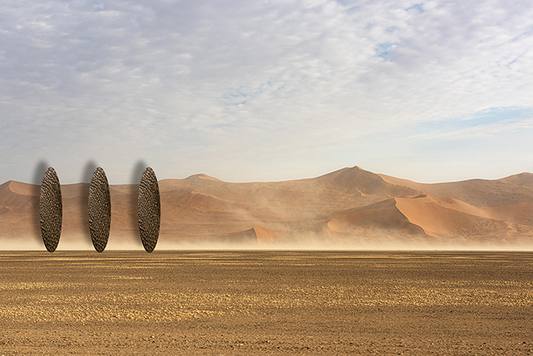 Wüste Nr. 1 | Carolien Beekman